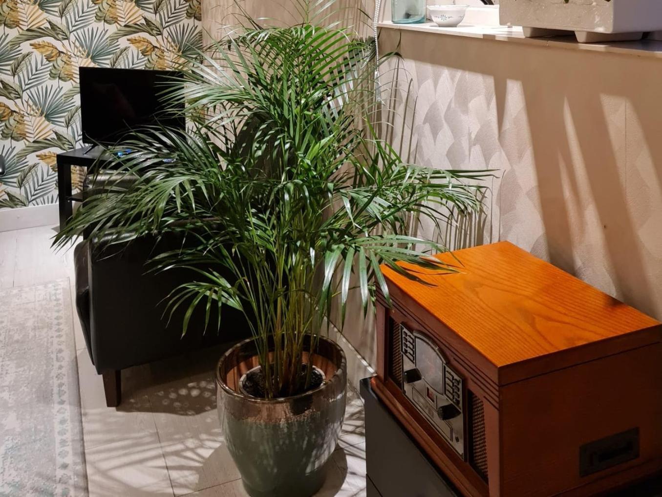 Uitgeest Klein Middelwegヴィラ エクステリア 写真